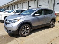 Honda cr-v exl salvage cars for sale: 2019 Honda CR-V EXL