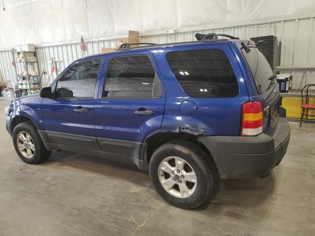 2006 Ford Escape XLT