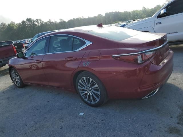 2019 Lexus ES 350