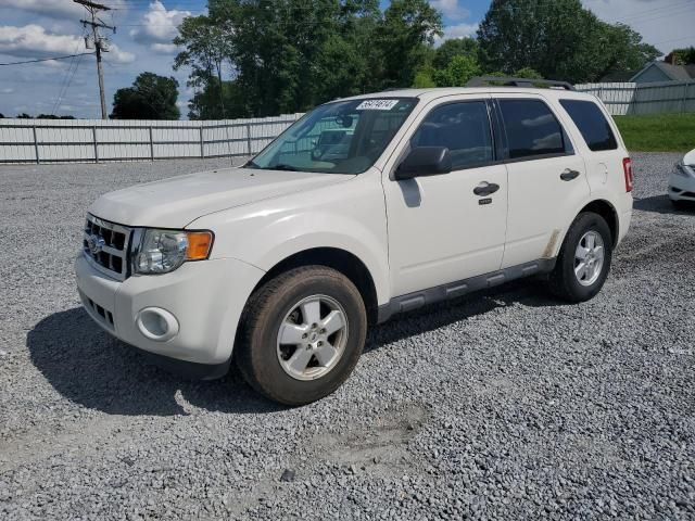 2012 Ford Escape XLT