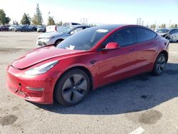 2019 Tesla Model 3 for sale in Rancho Cucamonga, CA