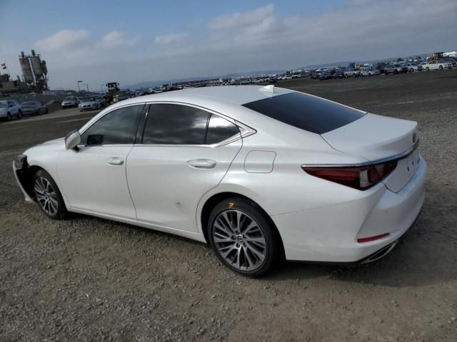 2019 Lexus ES 350