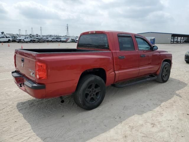 2010 Dodge Dakota SXT