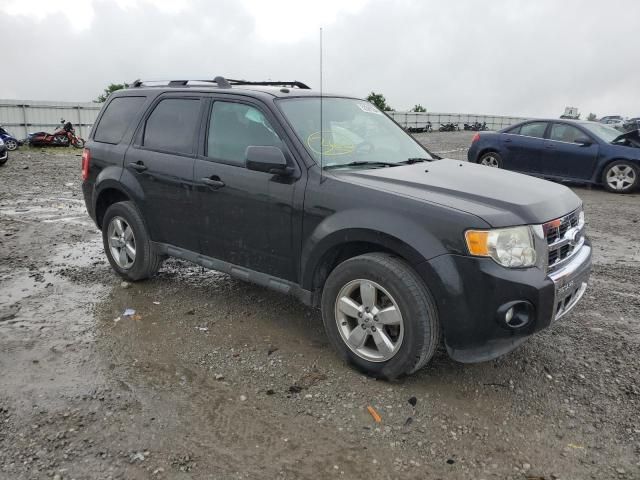 2011 Ford Escape Limited