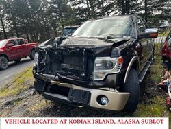 Ford salvage cars for sale: 2013 Ford F150 Supercrew