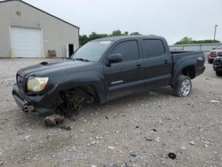 2008 Toyota Tacoma Double Cab for sale in Lawrenceburg, KY