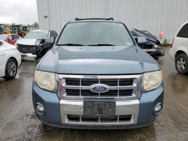 2010 Ford Escape Limited