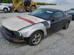 Ford Mustang salvage cars for sale: 2008 Ford Mustang