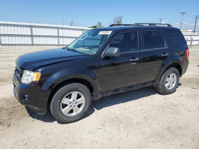 2010 Ford Escape XLT