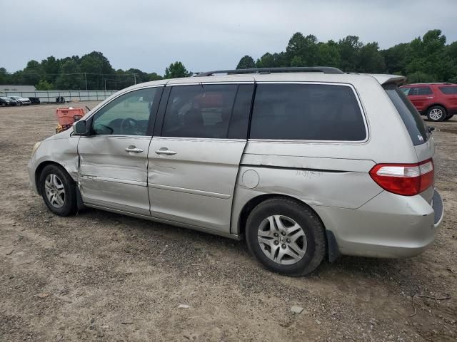 2005 Honda Odyssey EX