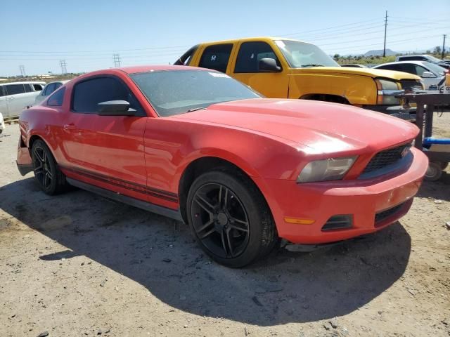 2010 Ford Mustang