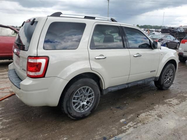 2008 Ford Escape Limited