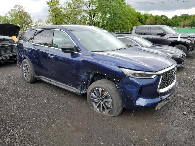 2024 Infiniti QX60 Pure