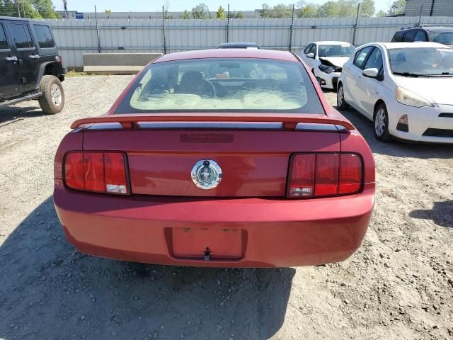 2006 Ford Mustang