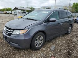 Honda salvage cars for sale: 2016 Honda Odyssey EXL