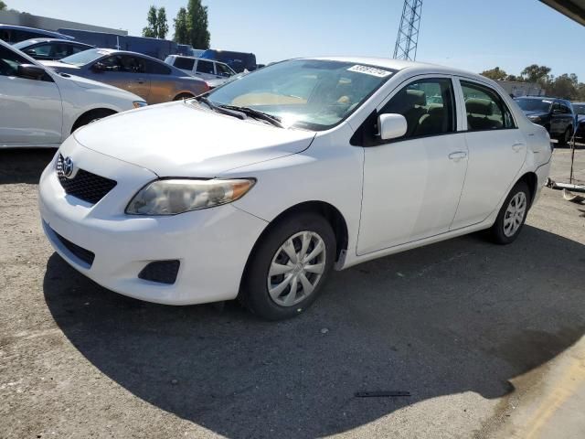 2010 Toyota Corolla Base