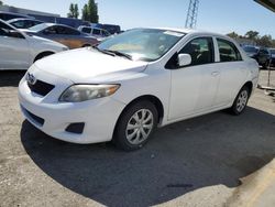 Vehiculos salvage en venta de Copart Hayward, CA: 2010 Toyota Corolla Base