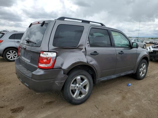 2009 Ford Escape XLT