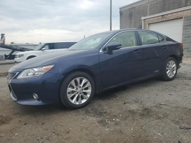 2013 Lexus ES 300H