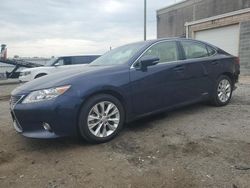 Vehiculos salvage en venta de Copart Fredericksburg, VA: 2013 Lexus ES 300H