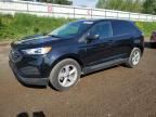 2019 Ford Edge SE