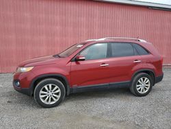 KIA Sorento EX salvage cars for sale: 2011 KIA Sorento EX