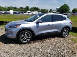 Ford Vehiculos salvage en venta: 2022 Ford Escape SEL