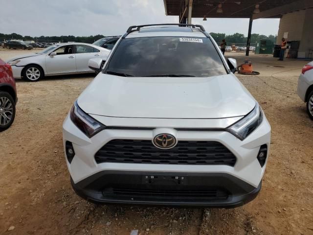 2024 Toyota Rav4 XLE Premium