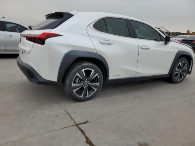 2019 Lexus UX 250H