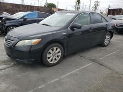 Salvage cars for sale from Copart Wilmington, CA: 2008 Toyota Camry Hybrid