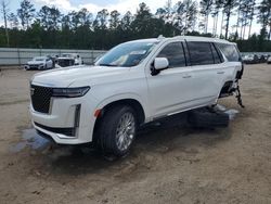 Cadillac Escalade salvage cars for sale: 2021 Cadillac Escalade Premium Luxury