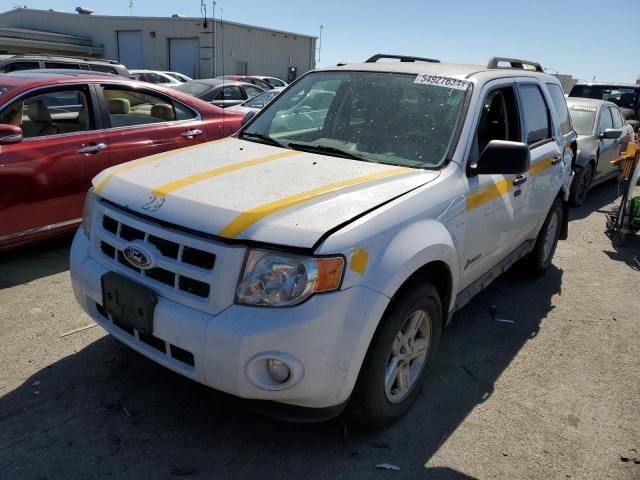 2011 Ford Escape Hybrid