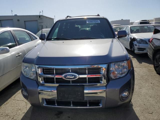 2008 Ford Escape Limited