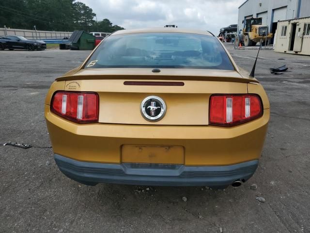 2010 Ford Mustang