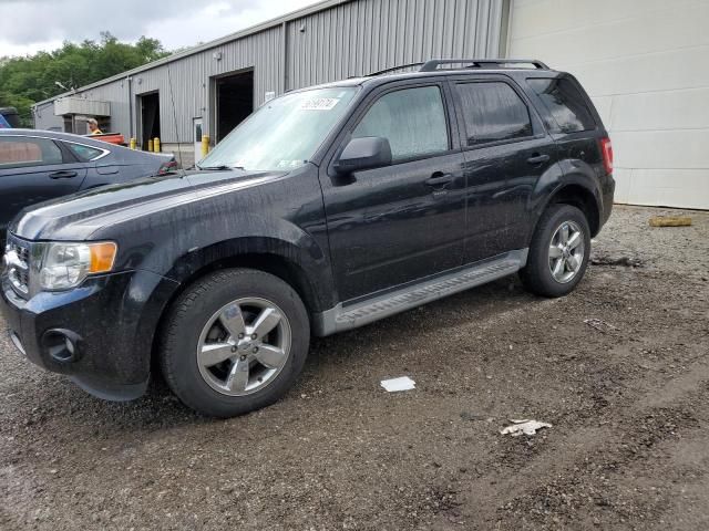 2010 Ford Escape XLT