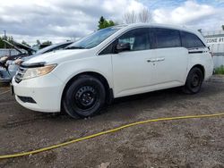 Honda Odyssey exl Vehiculos salvage en venta: 2011 Honda Odyssey EXL