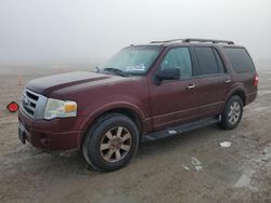 Ford Expedition salvage cars for sale: 2010 Ford Expedition XLT