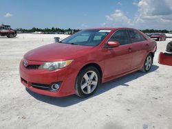 2013 Toyota Camry L for sale in Arcadia, FL