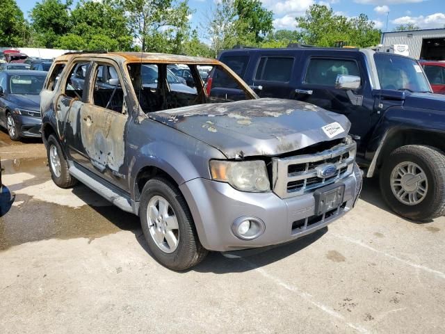 2008 Ford Escape XLT