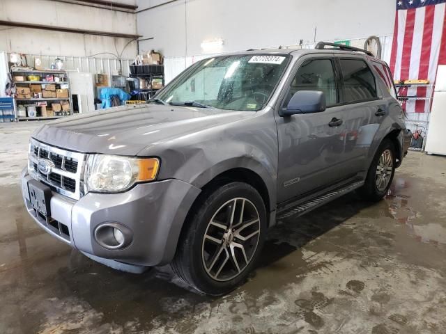 2008 Ford Escape XLT