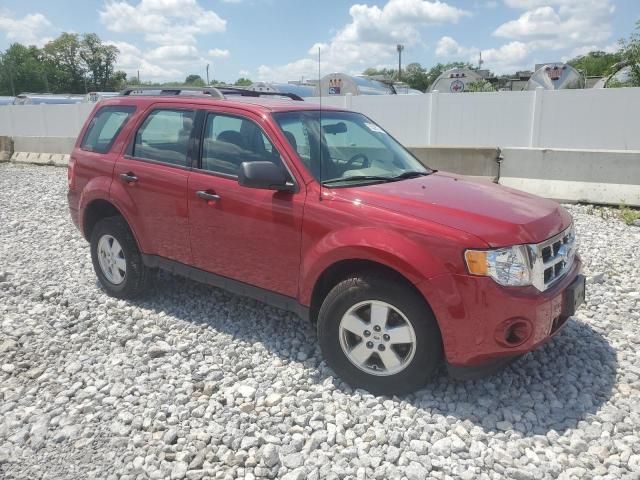 2011 Ford Escape XLS