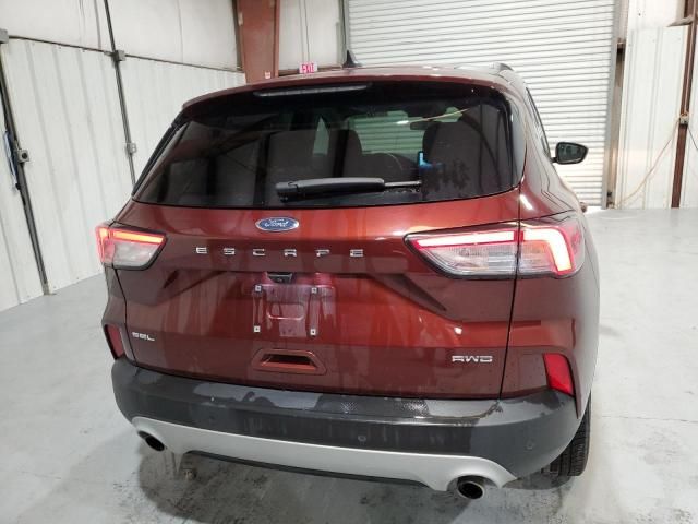 2021 Ford Escape SEL