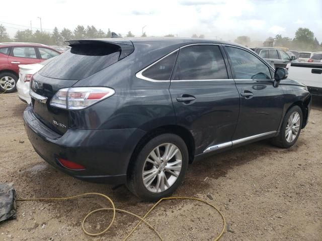 2010 Lexus RX 450