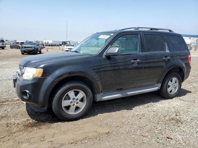 2010 Ford Escape XLT