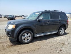 2010 Ford Escape XLT for sale in San Diego, CA