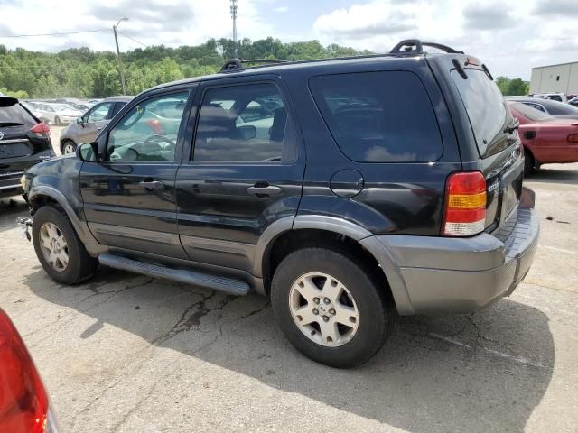 2006 Ford Escape XLT