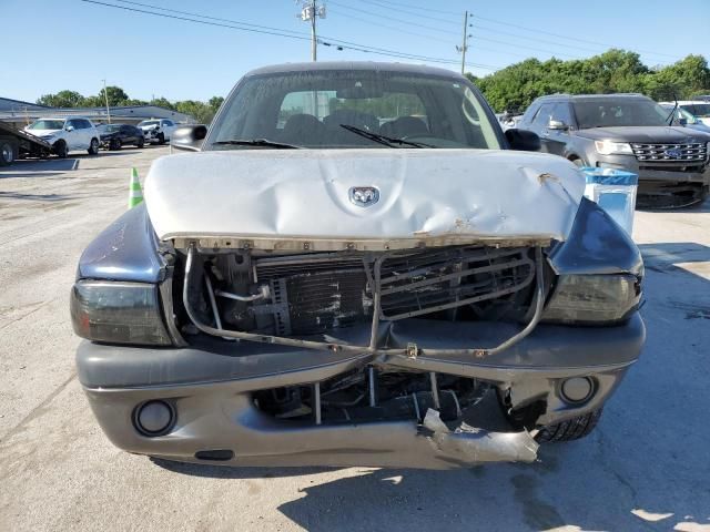 2004 Dodge Dakota Quad Sport