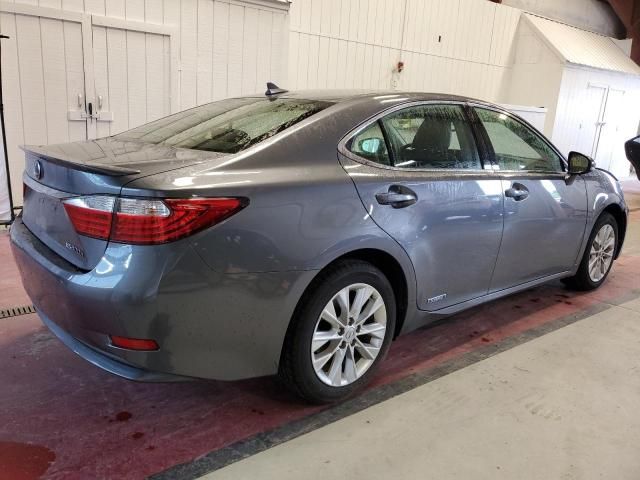 2013 Lexus ES 300H