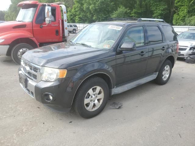 2011 Ford Escape Limited