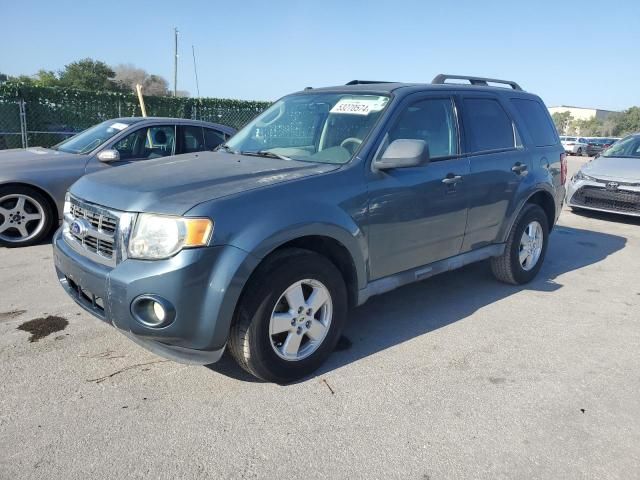 2010 Ford Escape XLT